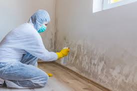 Best Post-Construction Mold Inspection in USA